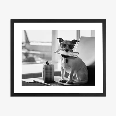 John Lewis 'Terrier Travel' Framed Print & Mount, 45.5 x 55.5, Black/White