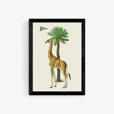 John Lewis EAST END PRINTS Natural History Museum 'Giraffe & Bird' Framed Print