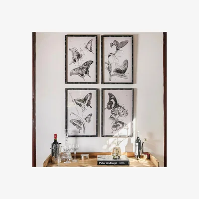 John Lewis One.World Butterfly Wood Framed Print, Set of 2, 60 x 40cm, Black/White