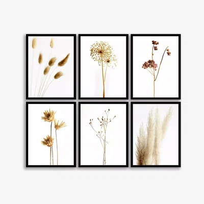 John Lewis Natural Meadow - Floral Framed Prints, Set of 6, 42 x 32cm, Natural
