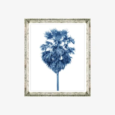 John Lewis Blue Palm Tree 2 - Framed Print & Mount, 66 x 56cm, Blue