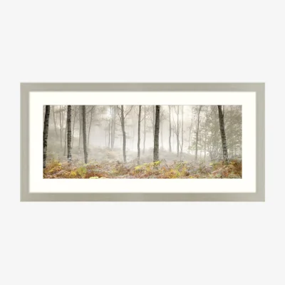 John Lewis Mike Shepherd - Morning Woodland Framed Print, 52 x 107cm