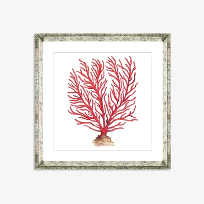 John Lewis Red Coral 5 - Framed Print & Mount, 46 x 46cm, Red