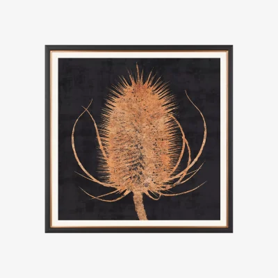 John Lewis Charlotte Oakley - Copper Teasel Framed Print & Mount, 36 x 36cm, Dark Grey/Metallic