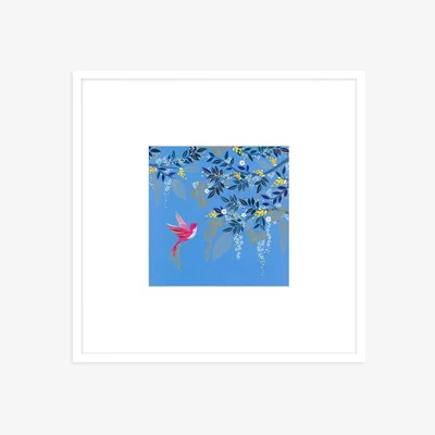 John Lewis John Lewis Sara Miller 'Hummingbird' Framed Print & Mount, 52 x 52cm, Blue