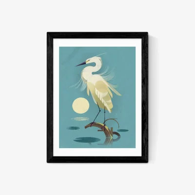 John Lewis EAST END PRINTS Dieter Braun 'Little Egret' Framed Print