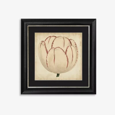 John Lewis Pop Floral II Framed Print & Mount, 56 x 56cm, Black/White