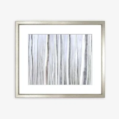 John Lewis Birch Trees Framed Print & Mount, 82 x 97cm, Silver