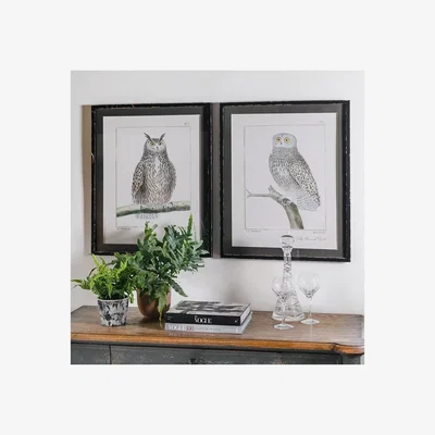 John Lewis One.World Owl Wood Framed Print & Mount, Set of 2, 73 x 60cm, Brown/Multi