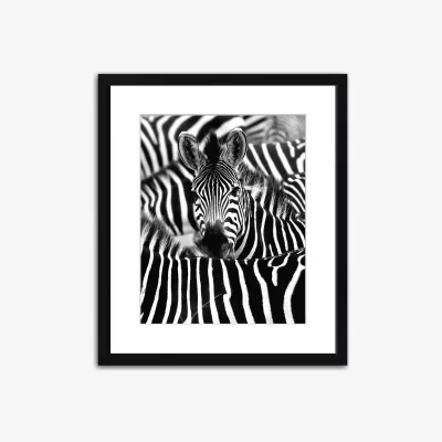 John Lewis Zebra Camouflage Framed Print & Mount, 97 x 82cm, Black/White