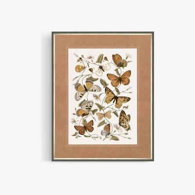 John Lewis John Lewis 'Butterfly Dance' Framed Print & Mount, 93 x 73cm, Terracotta/Multi