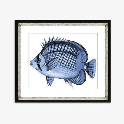 John Lewis Blue Fish 2 - Framed Print & Mount, 36 x 46cm, Blue