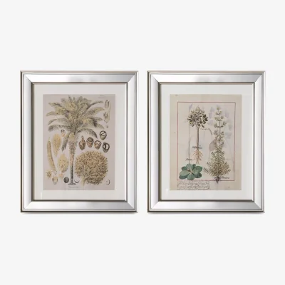 John Lewis Botanical Floral 11 - Framed Print & Mount, Set of 2, 57.5 x 57.5cm, Green/Multi