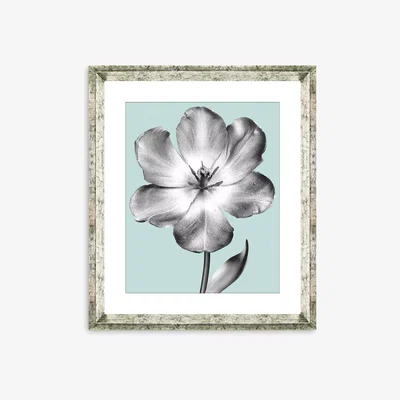 John Lewis Tulip on Blue 1 - Framed Print & Mount, 46 x 36cm, Blue