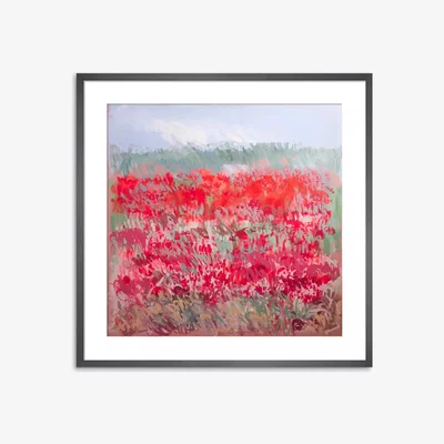 John Lewis Claire Oxley - 'Poppies by the Dunes' Framed Print & Mount, 60 x 60cm, Red