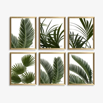 John Lewis Linda Wood - 'Tropical Leaves' Framed Print, Set of 6, 32 x 26cm, Green