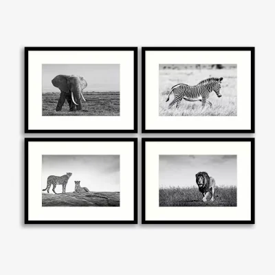 John Lewis On The Plains - African Animals Framed Print & Mount, Set of 4, 32 x 42cm, Black/White