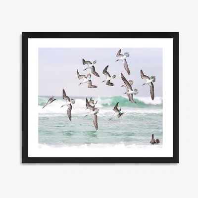 John Lewis Gannets 2 - Framed Print & Mount, 56 x 66cm, Blue