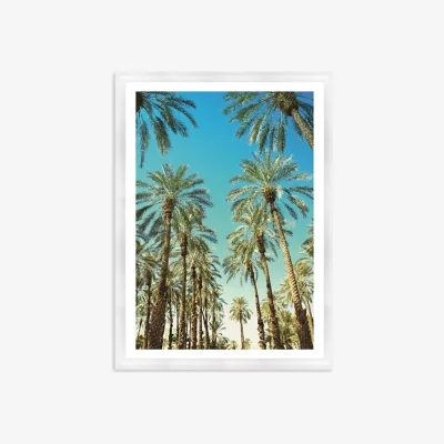 John Lewis Beverly Hills Palms - Framed Print & Mount, 76 x 56cm, Green/Blue
