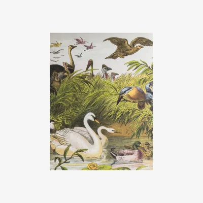 John Lewis Menagerie - Vintage Unframed Canvas Print, 120 x 80cm, Green/Multi