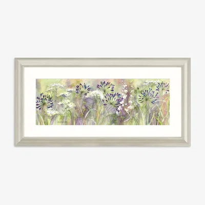 John Lewis Catherine Stephenson - Agapanthus Grasses Framed Print, 55 x 110cm