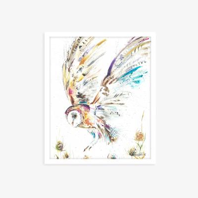 John Lewis John Lewis Nicola Jayne Rowles 'Barn Owl I' Framed Print, 63.5 x 53.5cm, Multi