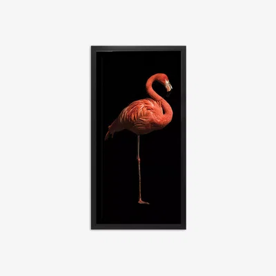 John Lewis Flamingo I Framed Print & Mount, 101 x 51cm, Black/Pink