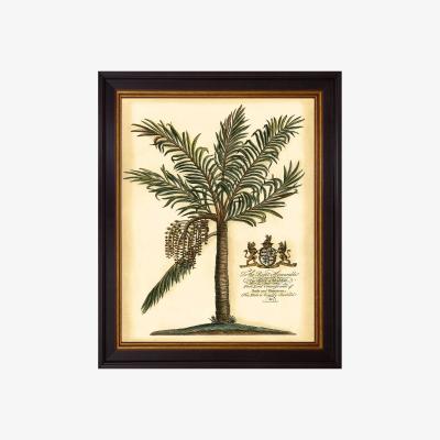 John Lewis Brookpace Lascelles 'Fruitful Palm' Framed Print, 50 x 40cm, Green/Cream