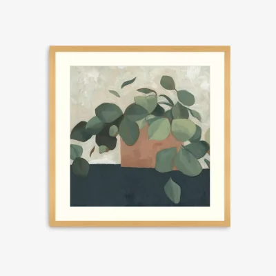 John Lewis Emma Scarvey - 'Jade Hoya II' Framed Print & Mount, 73.5 x 73.5cm, Green/Multi