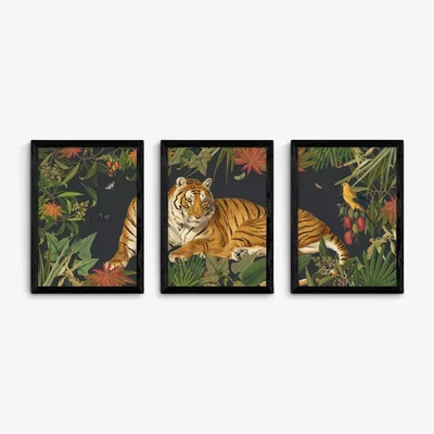 John Lewis EAST END PRINTS Natural History Museum 'Tiger' Framed Print, Set of 3