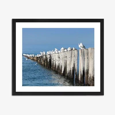 John Lewis Breaker Block - Framed Print & Mount, 56 x 66cm, Blue