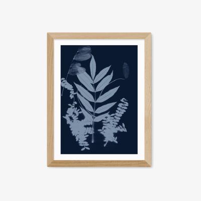John Lewis EAST END PRINTS Herald Black 'Cyano Foliage 1' Framed Print