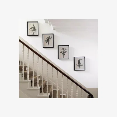 John Lewis One.World Brookby Monochrome Floral II Wood Framed Print, Set of 4, 50 x 40cm, Black/White