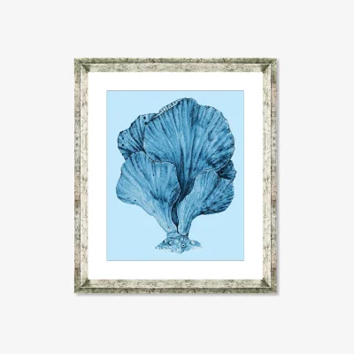 John Lewis Blue Coral 3 - Framed Print & Mount, 46 x 36cm, Blue