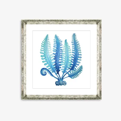 John Lewis Blue Seaweed 3 - Framed Print & Mount, 46 x 46cm, Blue