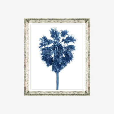 John Lewis Blue Palm Tree 1 - Framed Print & Mount, 66 x 56cm, Blue