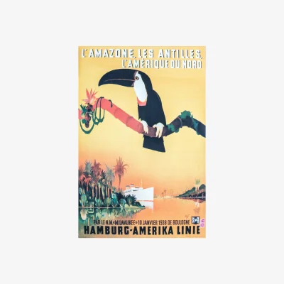 John Lewis L'Amazone Toucan Vintage Travel Poster Canvas Print, 120 x 80cm, Yellow/Multi