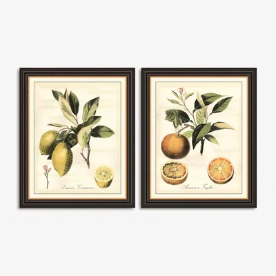 John Lewis Vision Studio - 'Tuscan Fruit' Framed Print, Set of 2, 57 x 47cm, Green/Multi