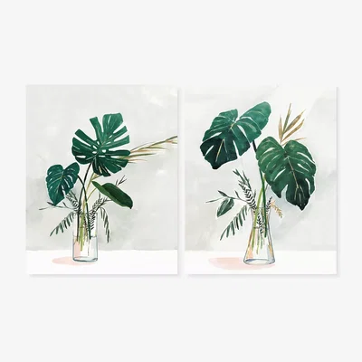 John Lewis Cheese Plant & Jar - Unframed Prints, Set of 2, 50 x 40cm, Green