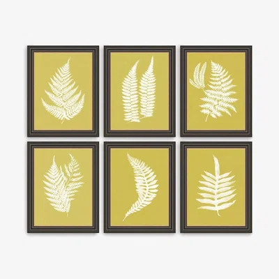 John Lewis 'Ochre Ferns' Framed Prints, Set of 6, 37 x 31cm, Ochre