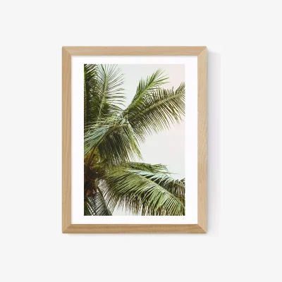 John Lewis EAST END PRINTS Honeymoon Hotel 'Palms Above' Framed Print