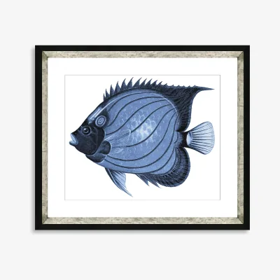 John Lewis Blue Fish 1 - Framed Print & Mount, 36 x 46cm, Blue