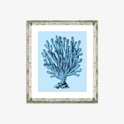 John Lewis Blue Coral 2 - Framed Print & Mount, 46 x 36cm, Blue