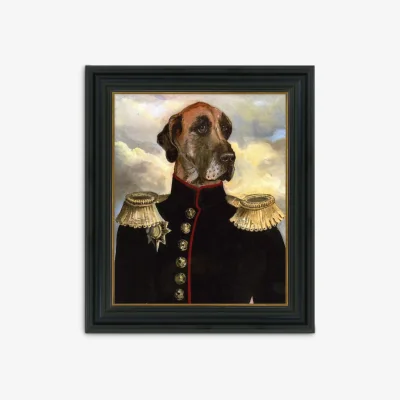 John Lewis Captain Horatio - Framed Canvas, 46 x 38cm, Multi