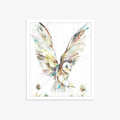 John Lewis John Lewis Nicola Jayne Rowles 'Barn Owl II' Framed Print, 63.5 x 53.5cm, Multi