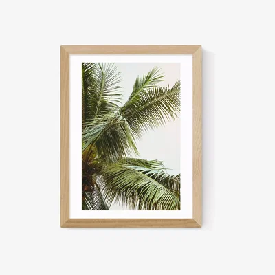 John Lewis EAST END PRINTS Honeymoon Hotel 'Palms Above' Framed Print