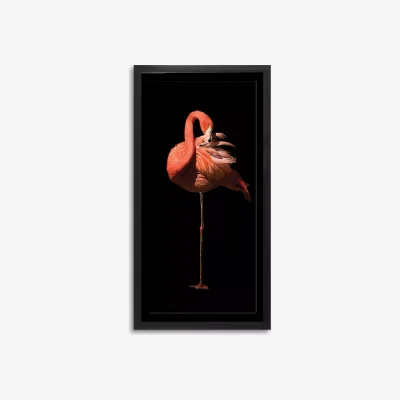 John Lewis Flamingo II Framed Print & Mount, 101 x 51cm, Black/Pink