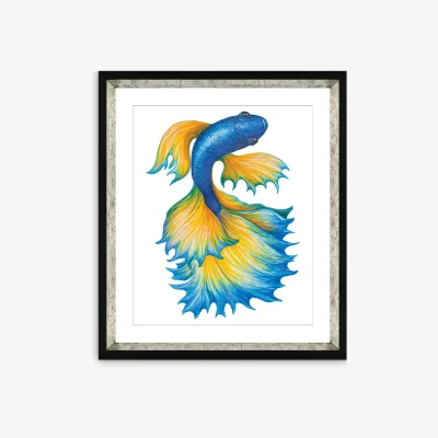 John Lewis Fancy Fish 1 - Framed Print & Mount, 56 x 46cm, Orange/Blue