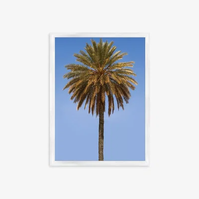 John Lewis Blue Sky Palm 1 - Framed Print & Mount, 66 x 46cm, Blue/Green