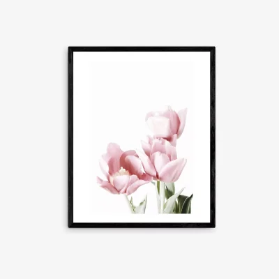 John Lewis Sis and Seb - 'Tulips' Wood Framed Print, 52 x 42cm, Pink/Multi
